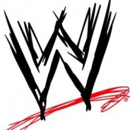 WWE Wrestlemania 28 Gone, Hello WWE Summer Slam